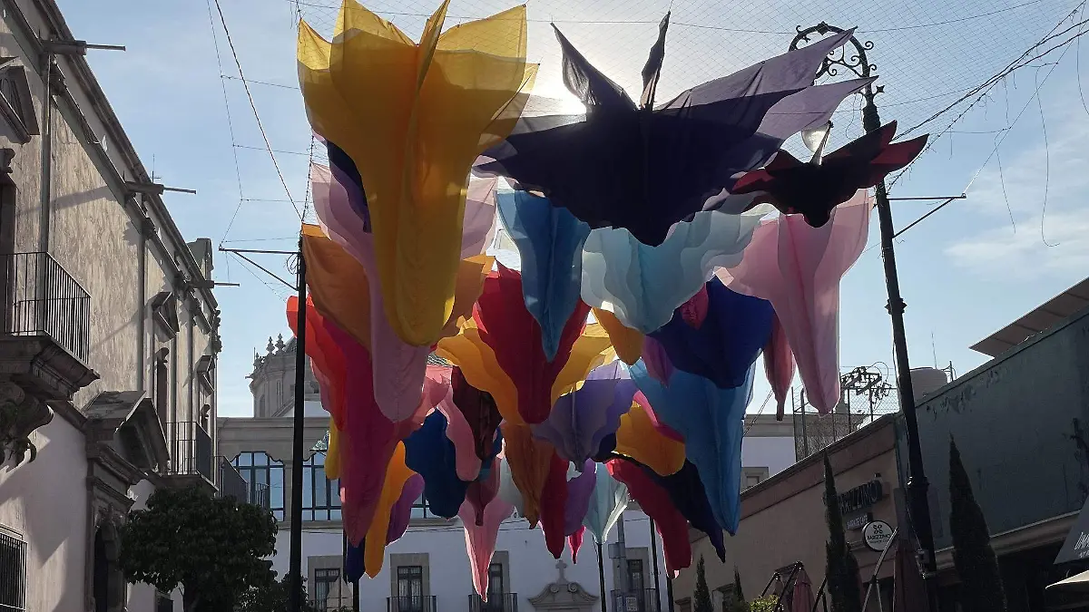 666865169_1544824627648865_475077884067952066_n