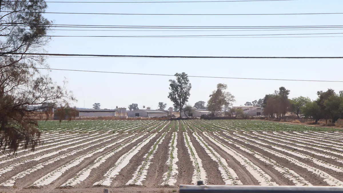 ROBOS-LEGISLACIÓN-AGRÍCOLAS