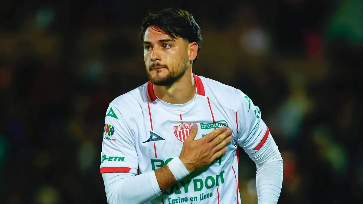 WhatsApp Image 2026-04-08 at 9.08.36 AM