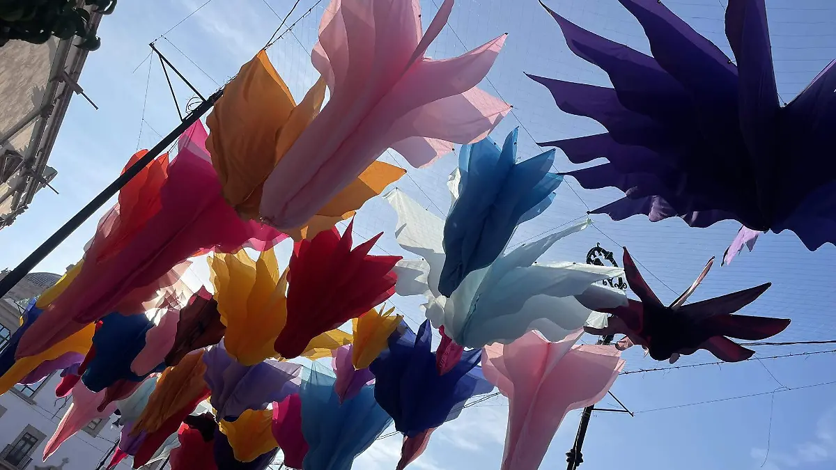 667077752_1544860824311912_5031200001516584244_n