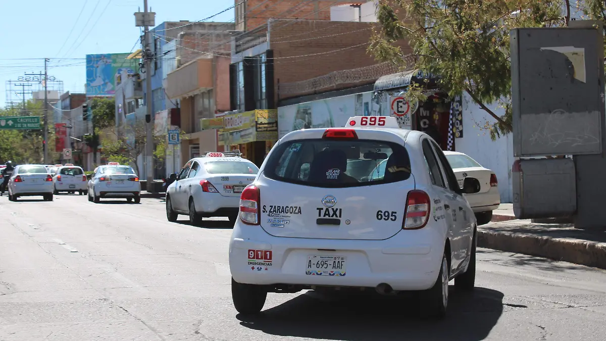 TAXIS (1)