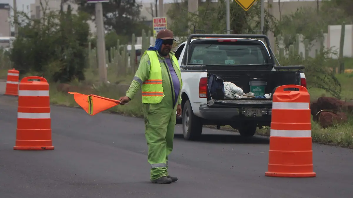 REINSTALACIÓN DE ARBOLES (2)