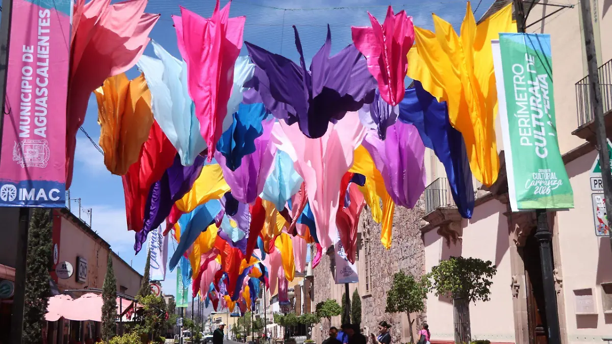 WhatsApp Image 2026-04-10 at 15.54.11