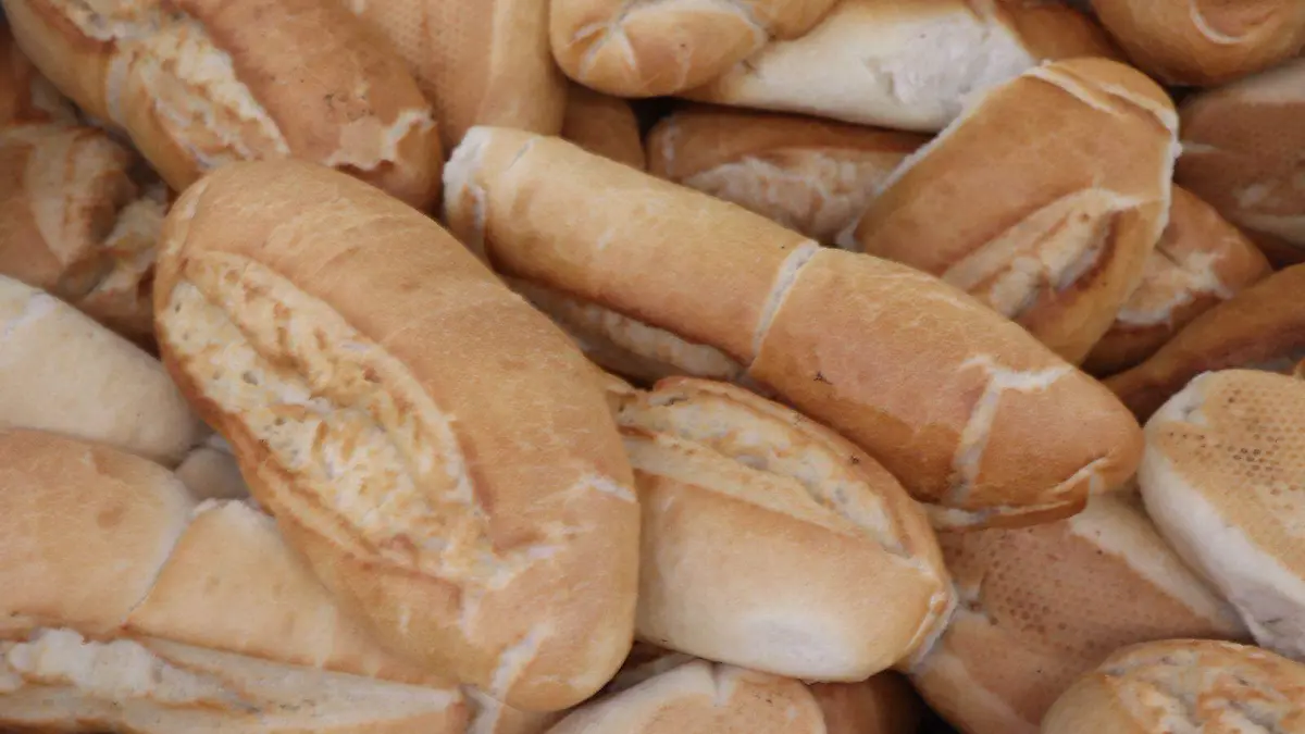 CHASKJA BIROTE GORDITAS (1)