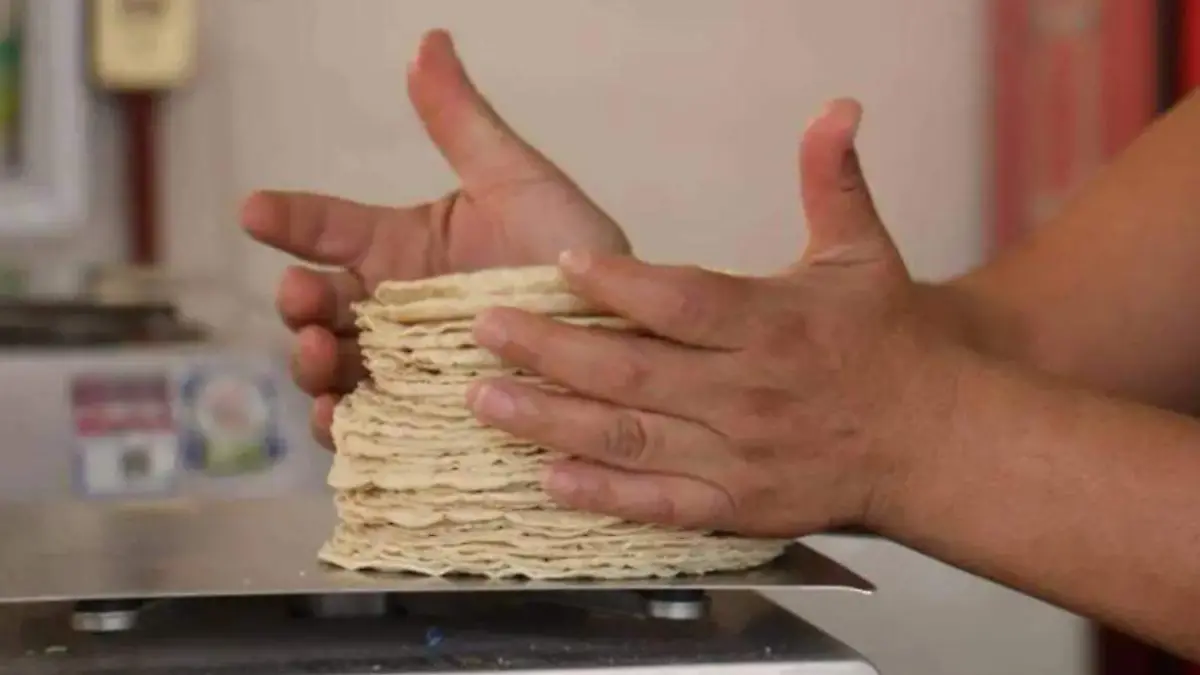 KILO DE TORTILLAS MAÍZ (4)