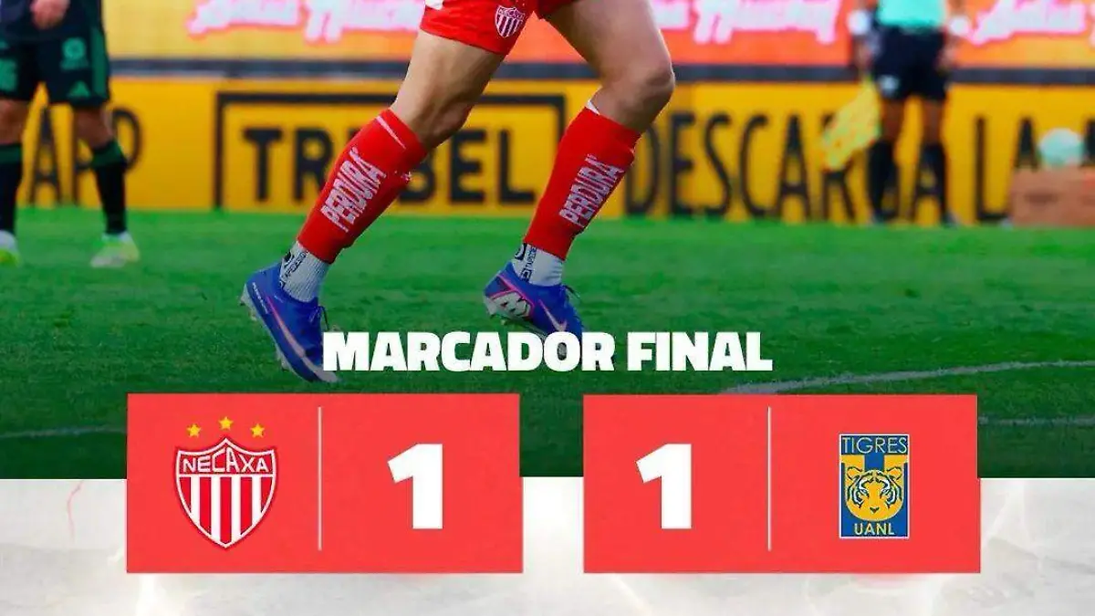 7f80444e-88d8-4a32-81b0-b32e3fa14300