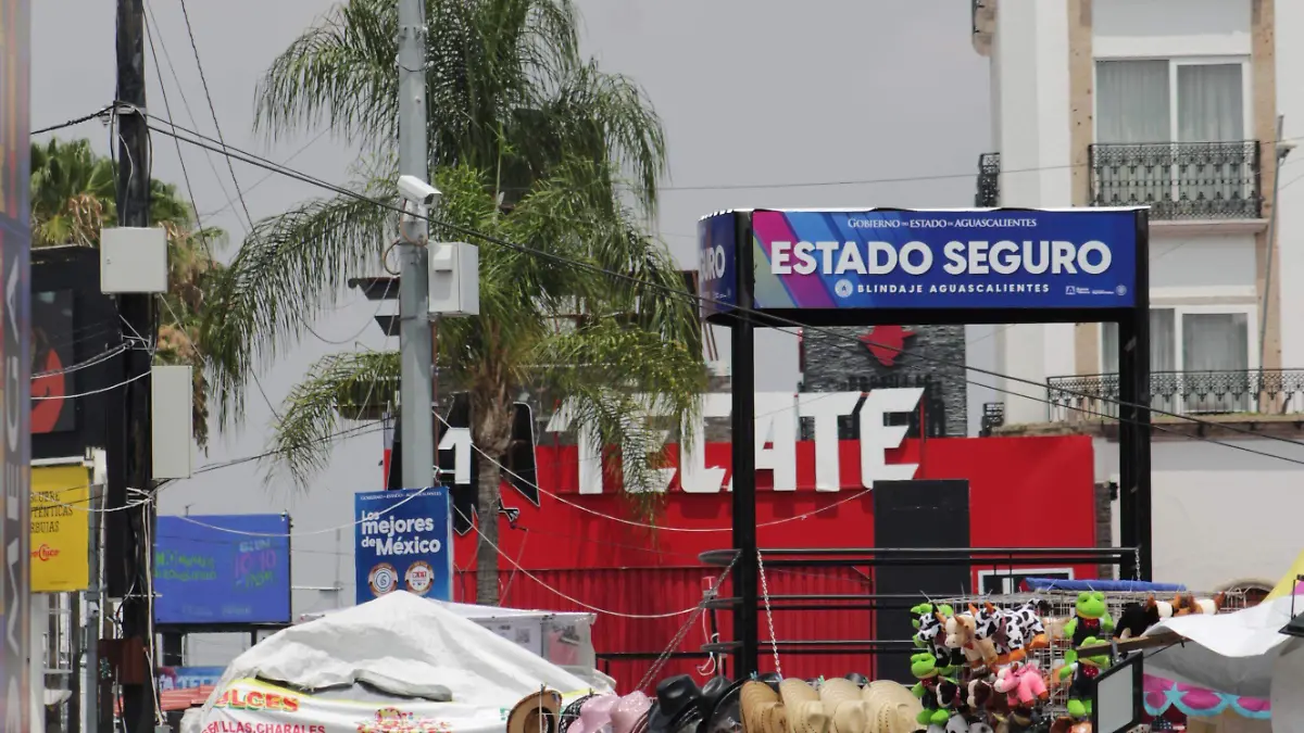 CAMARAS C5i FERIA (2)