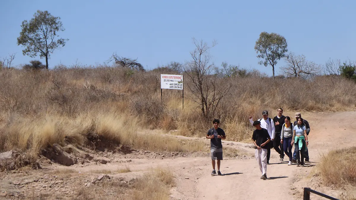 PICACHO_HIKING_AIRE LIBRE