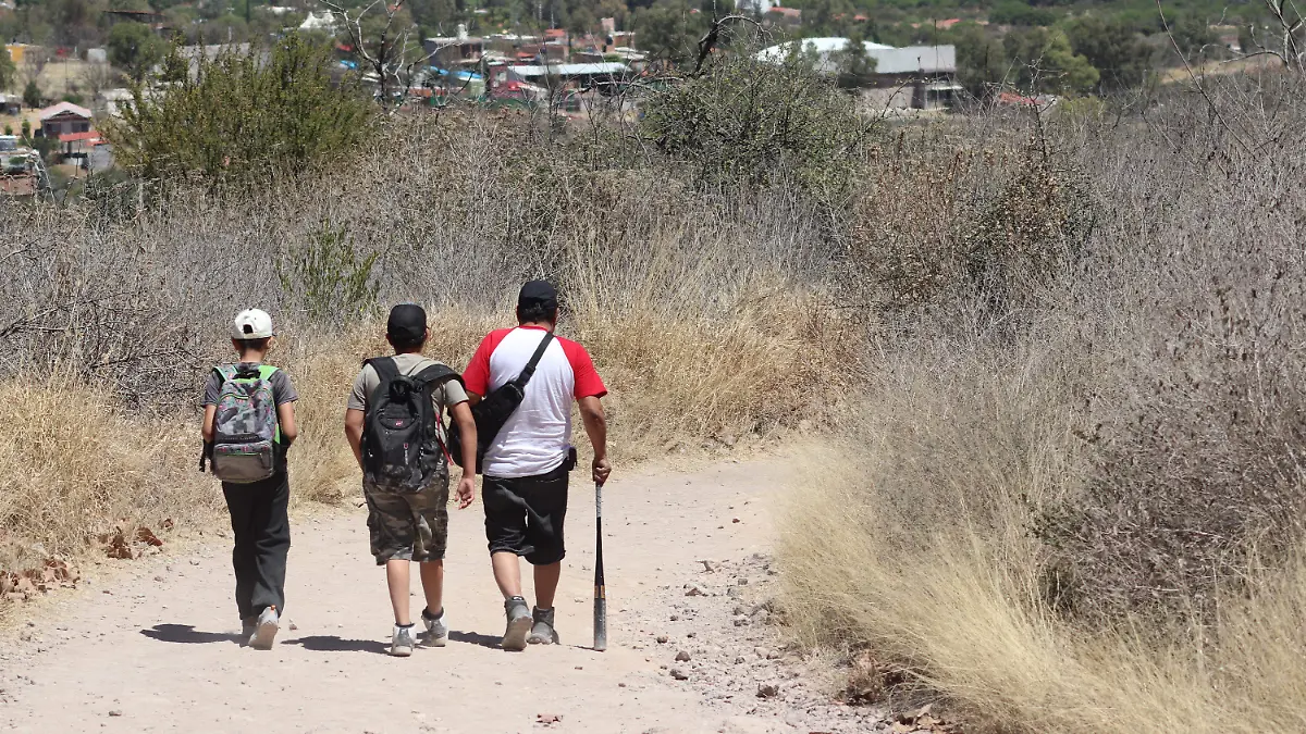 PICACHO_HIKING_AIRE LIBRE