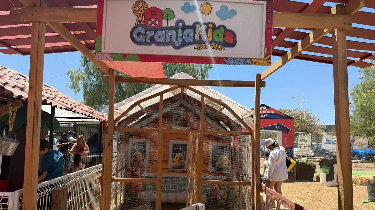 WhatsApp Image 2026-04-26 at 13.58.06