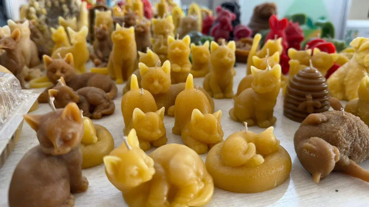 WhatsApp Image 2026-04-26 at 11.54.24