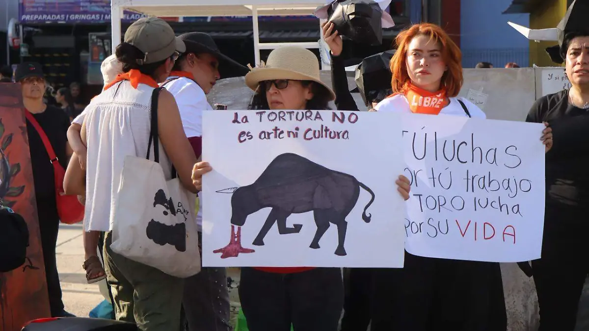 TOROS 1