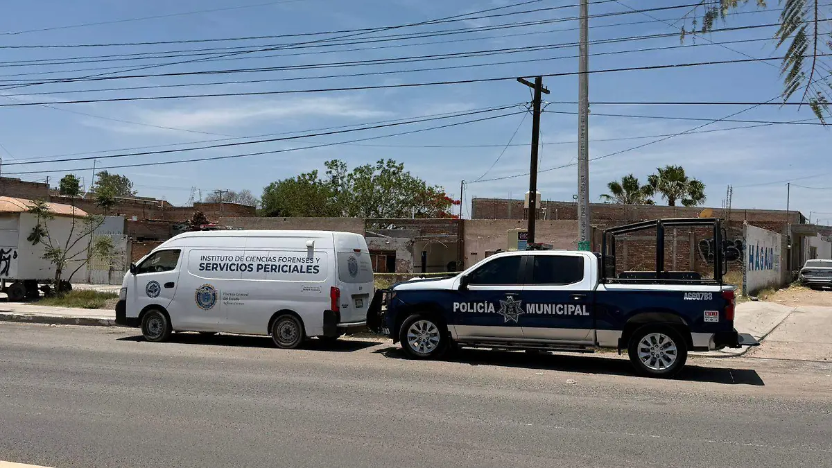 NECROPSIA (1)