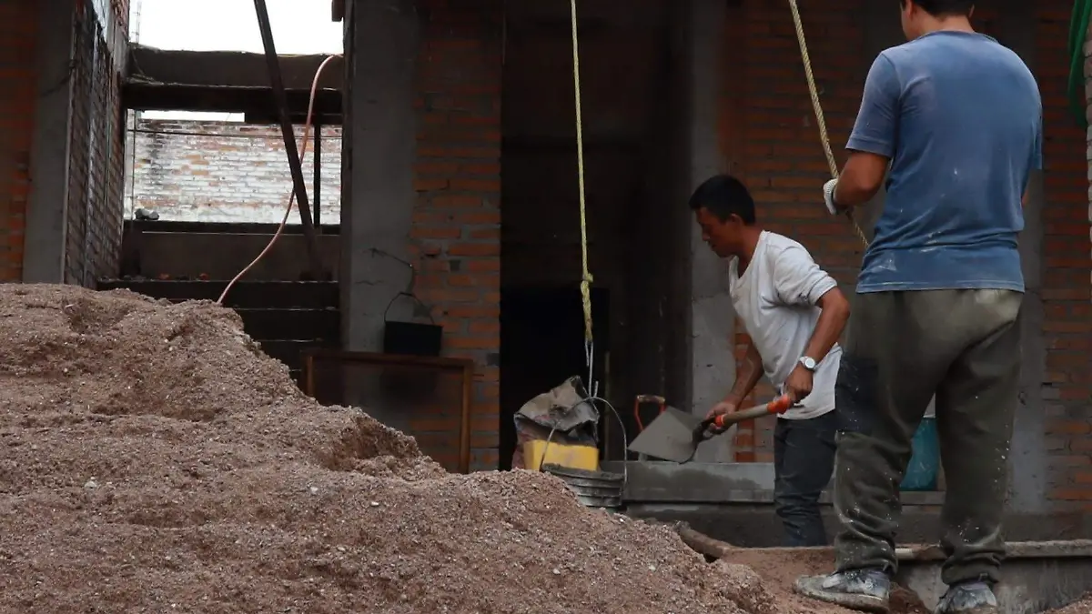 TRABAJADORES (4)
