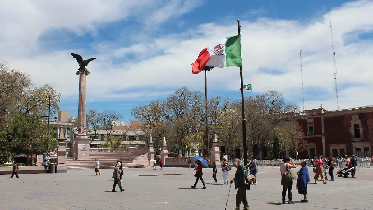 EXEDRA_6442