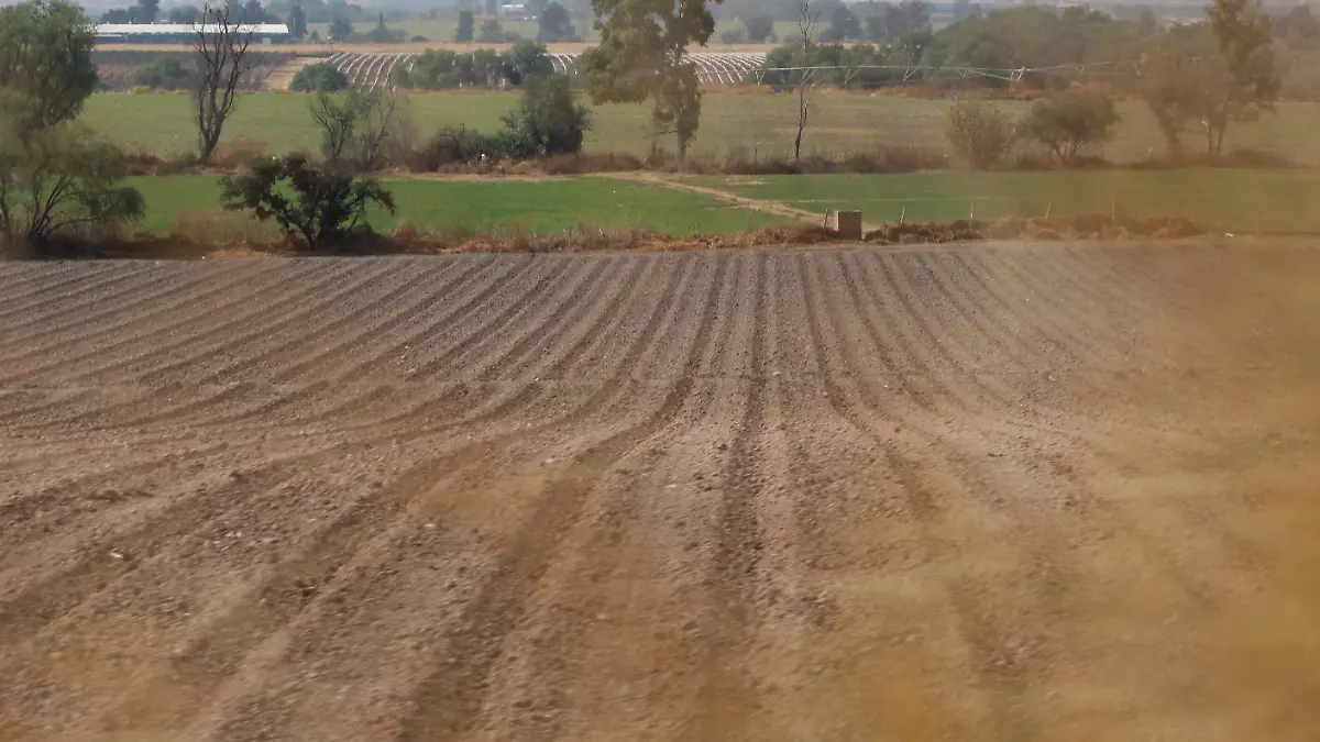 TIERRAS (4)