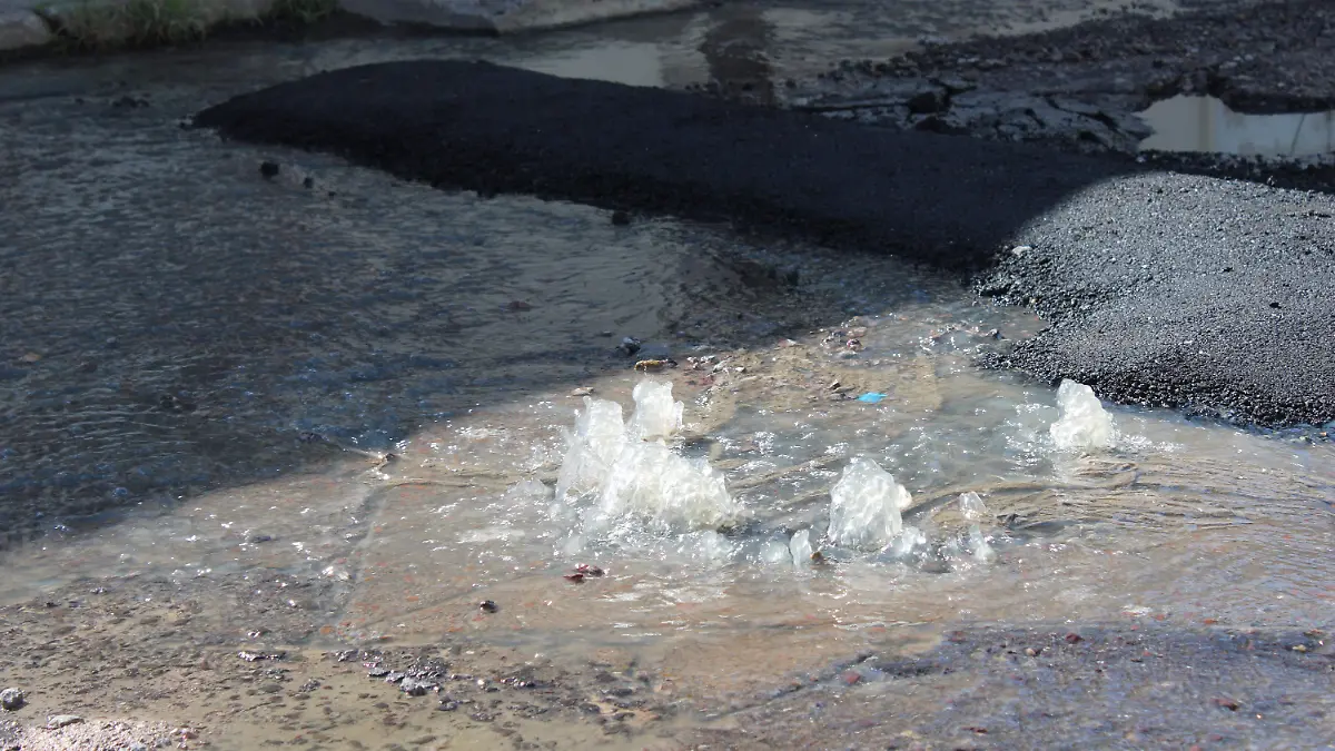 AGUA (2)