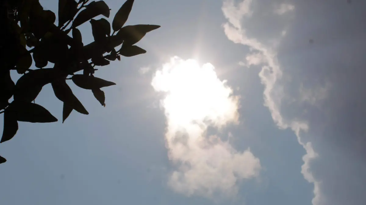 ALTAS TEMPERATURAS (2)