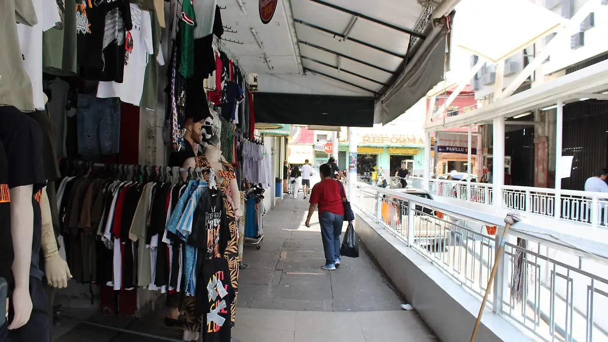  COMERCIANTES INFORMALES (6)