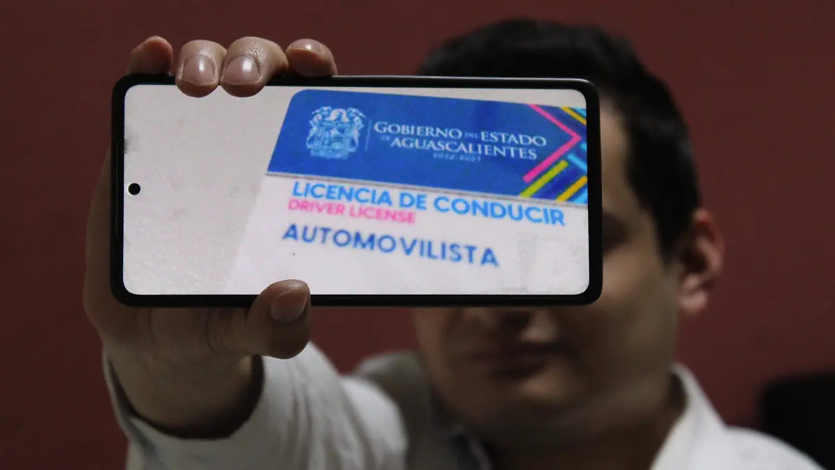 LICENCIAS (3)