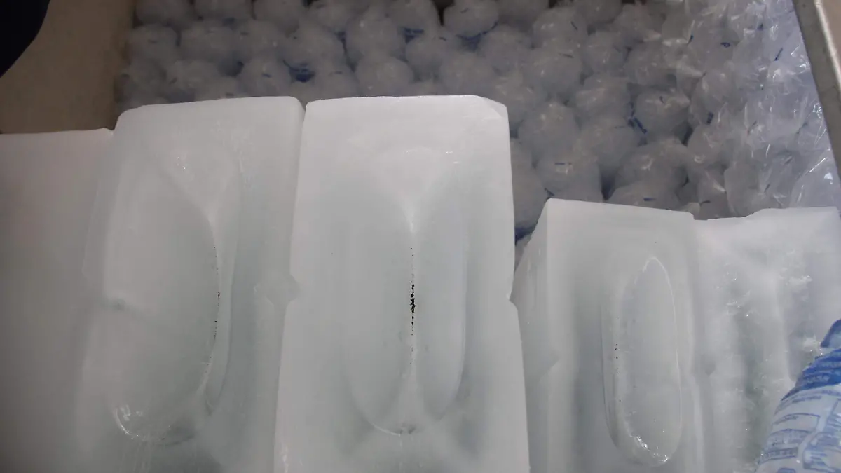 ABASTO DE AGUA HIELO (6)