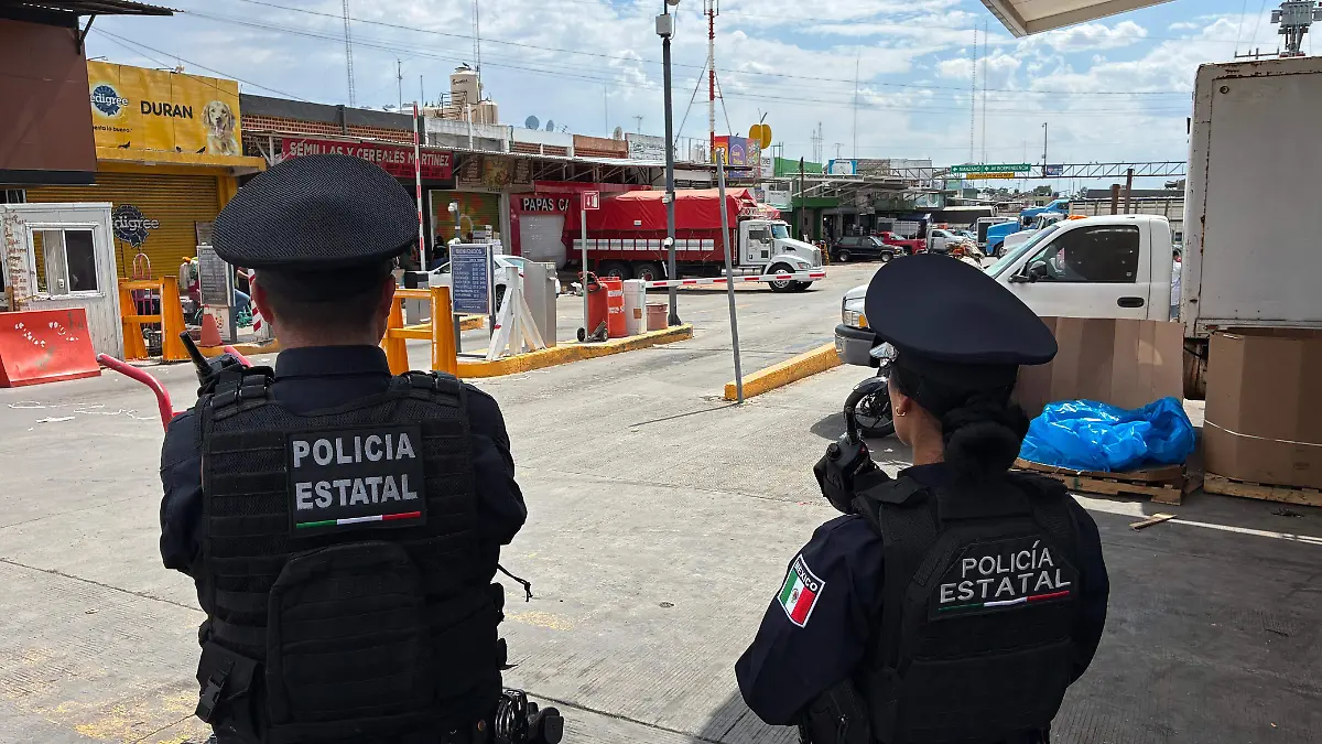 SEGURIDAD (2)