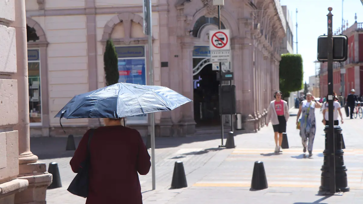 CALOR (2)
