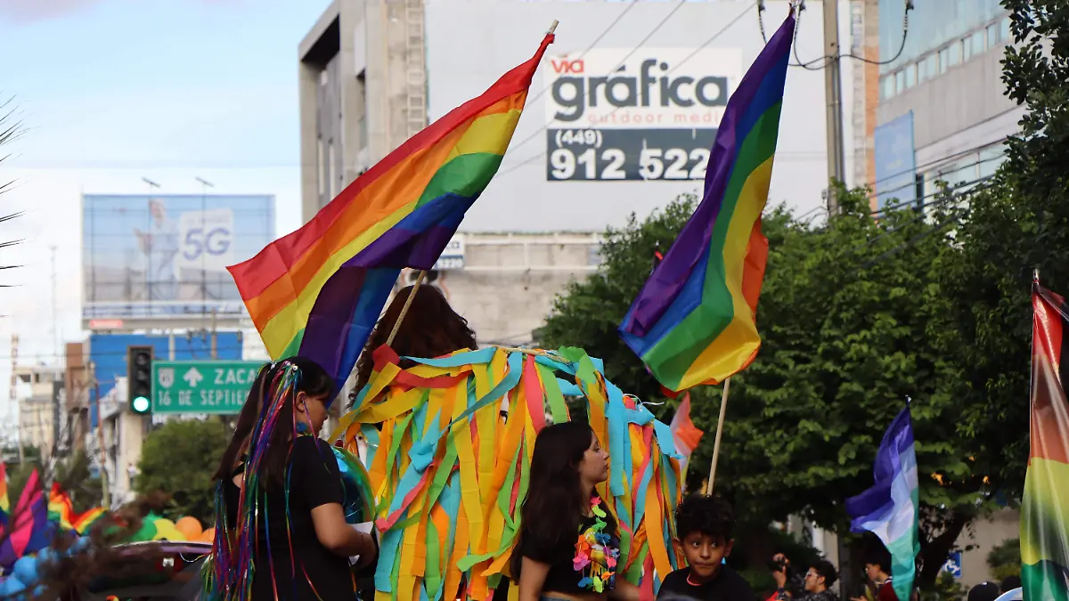 DIVERSIDAD-MARCHA-2026