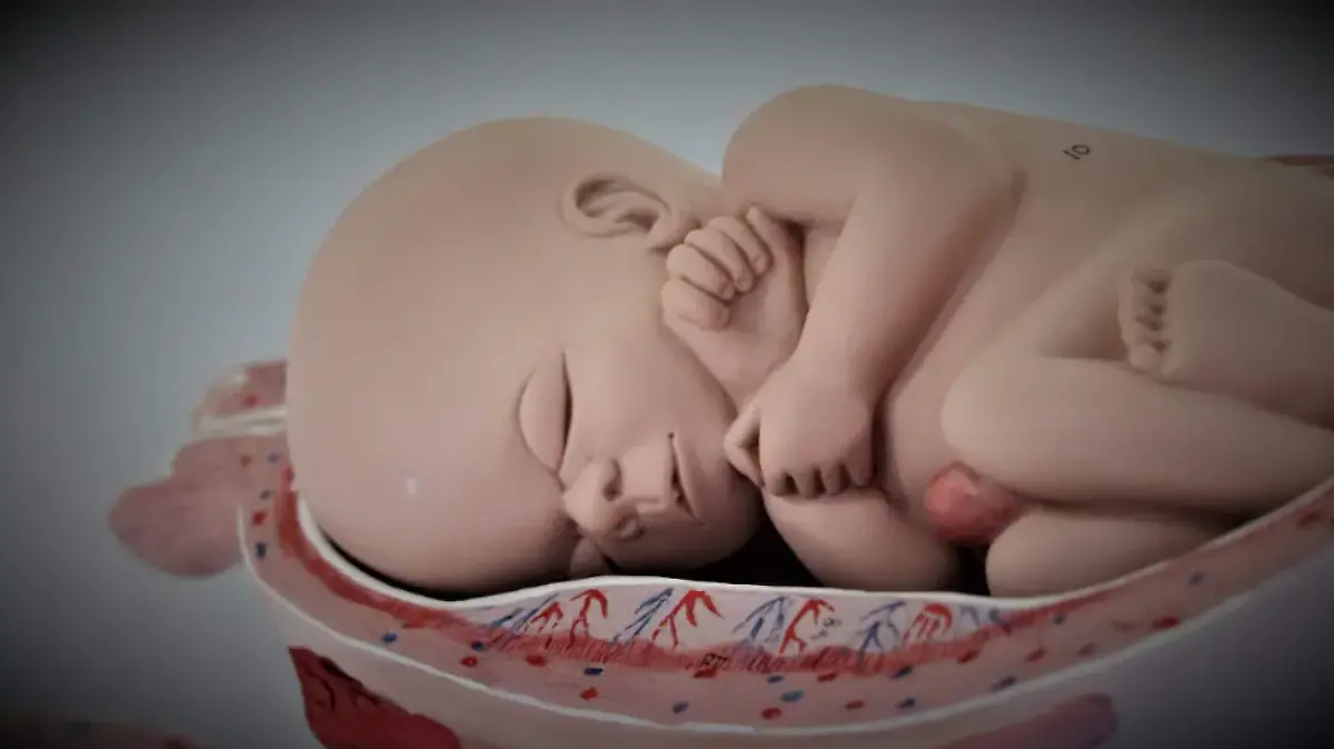 ABORTO 1(1)