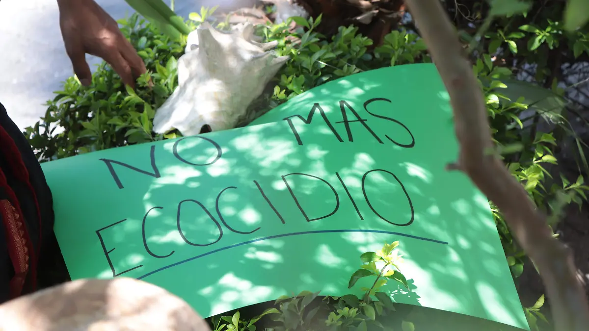 MARCHA ARBOL (3)
