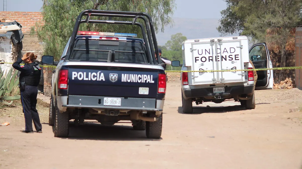 OSAMENTA (1)