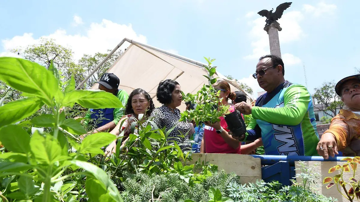DONACIÓN DE PLANTAS 7