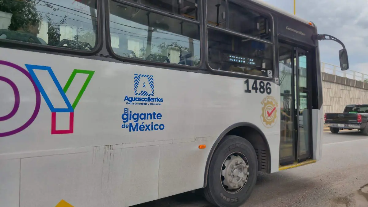 CAMION CERTIFICADO 1