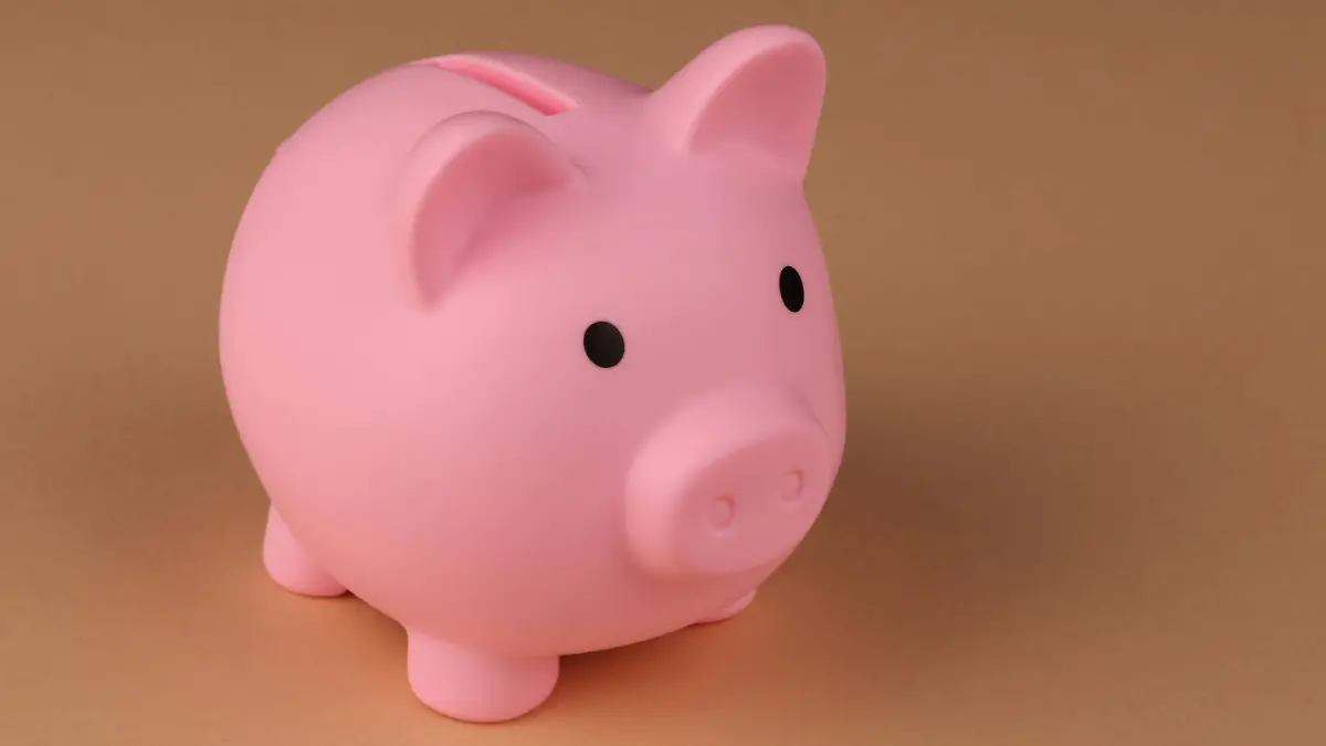 CERDITO 1