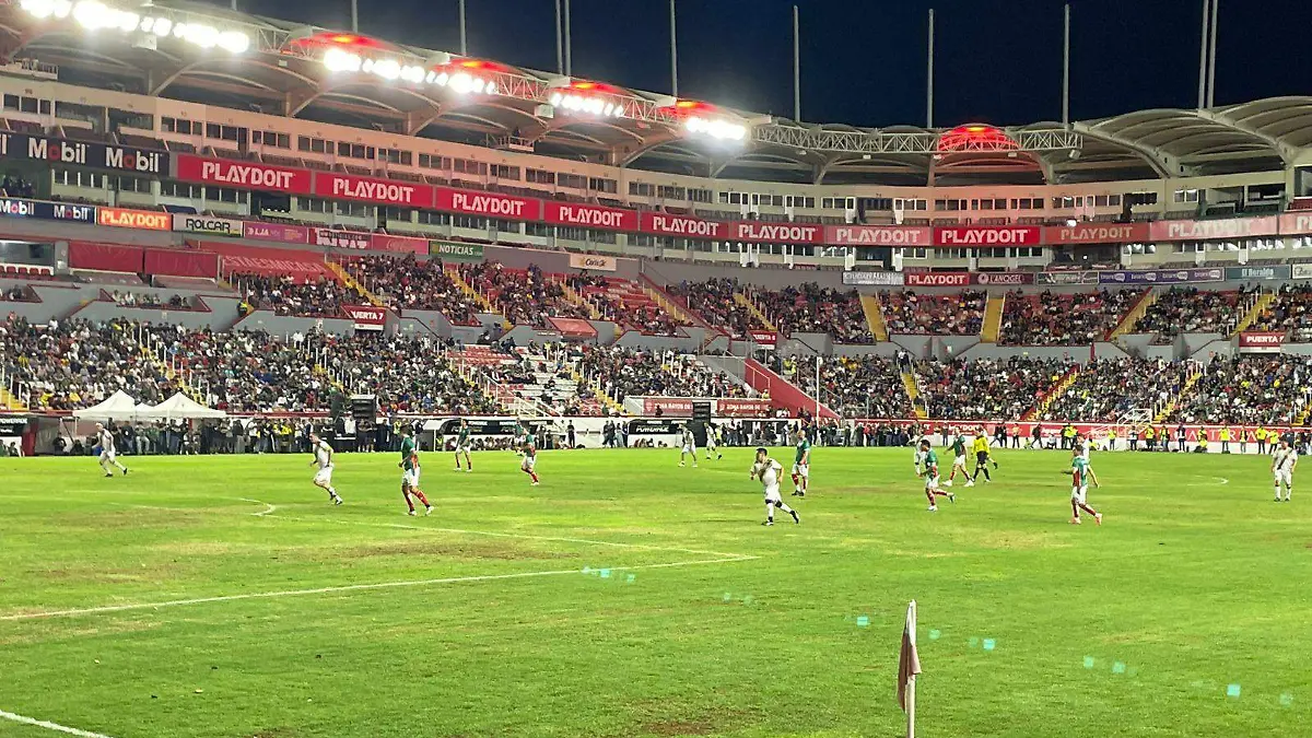 1000645091