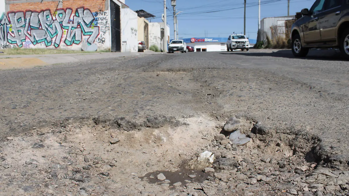 BACHES (1)