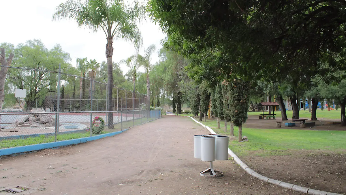PONA (4)