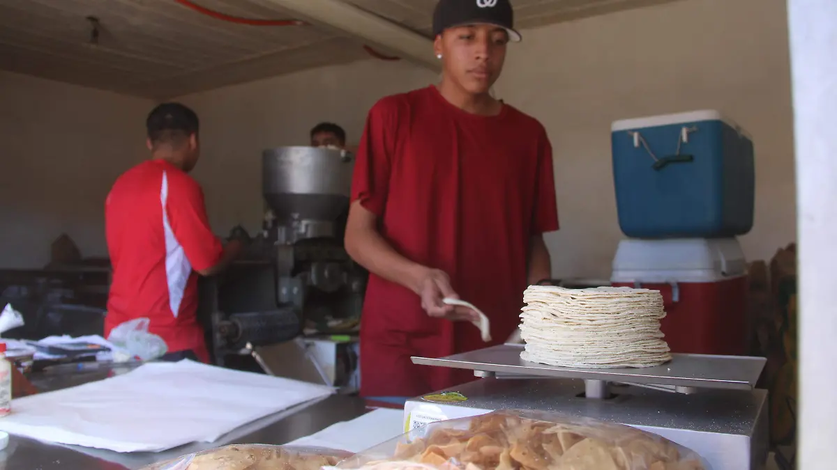  TORTILLA (3)