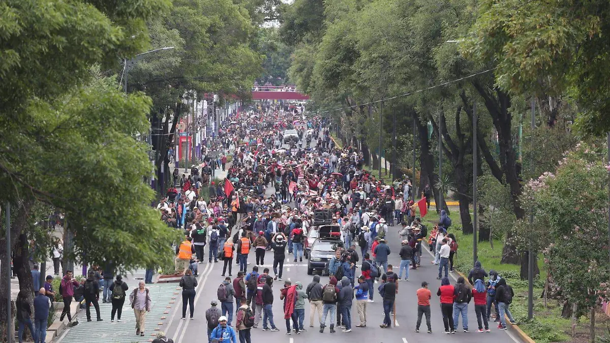 MANIFESTACIONES (1)