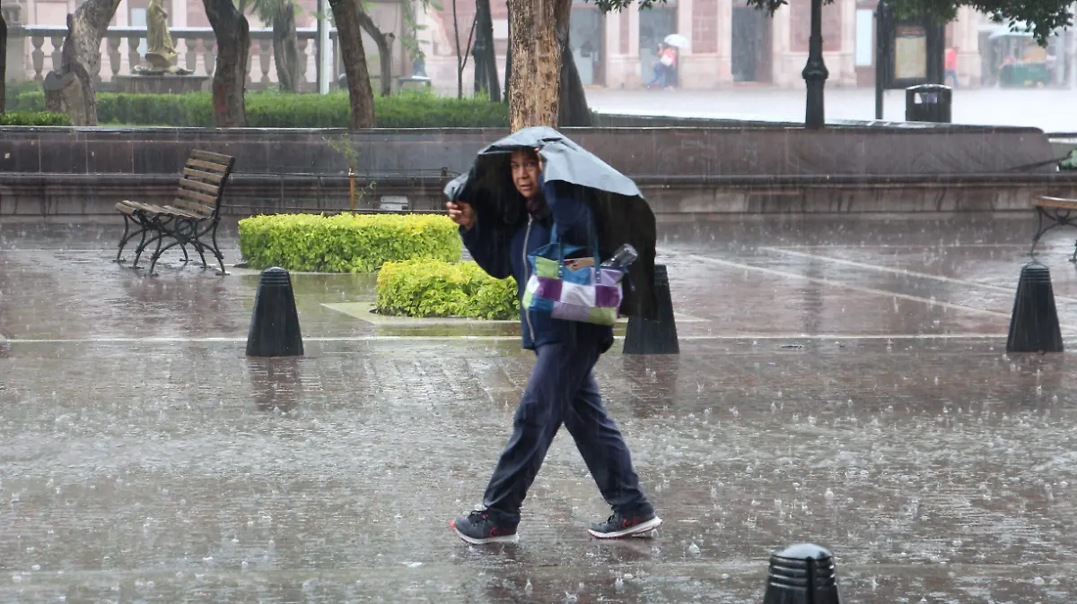 CLIMA (3)