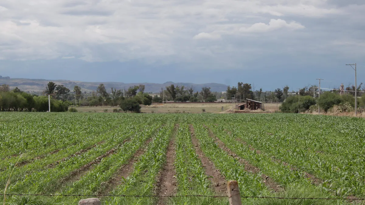 DISTRITO DE RIEGO (1)