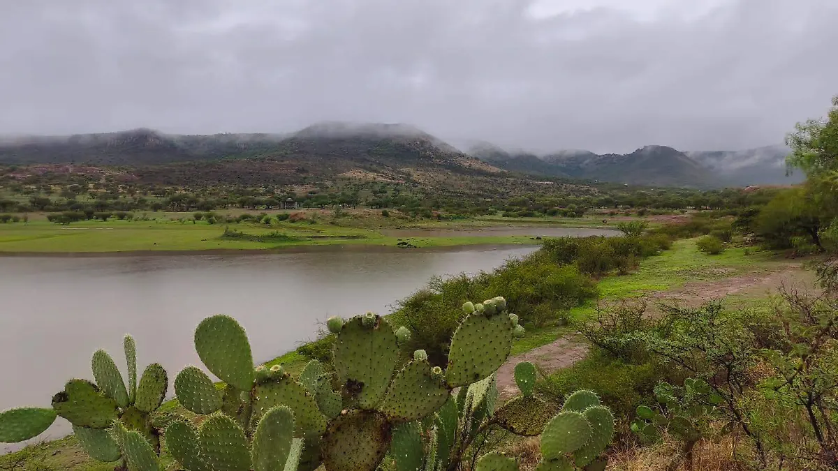 LLUVIAS JM