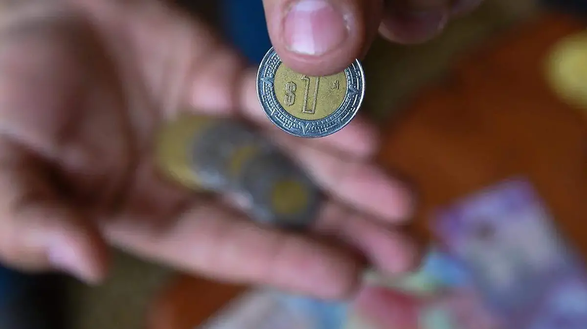 GASTOS HORMIGA 3