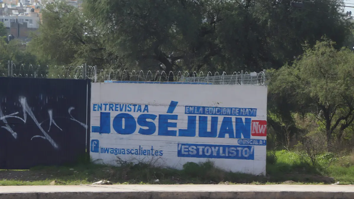 IMPUGNACIONES 1