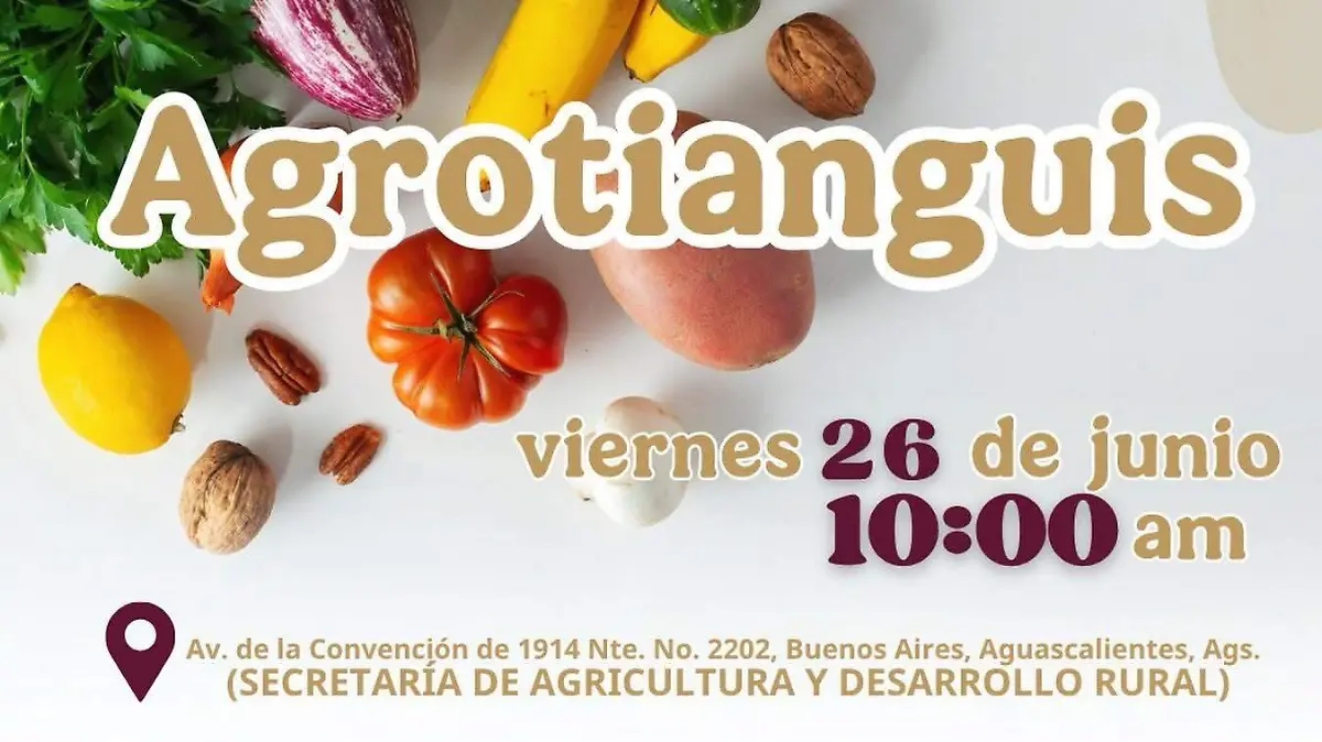 AGROTIANGUIS 1