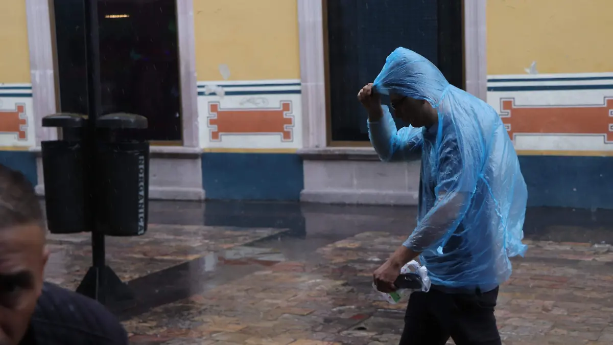 LUVIA 1