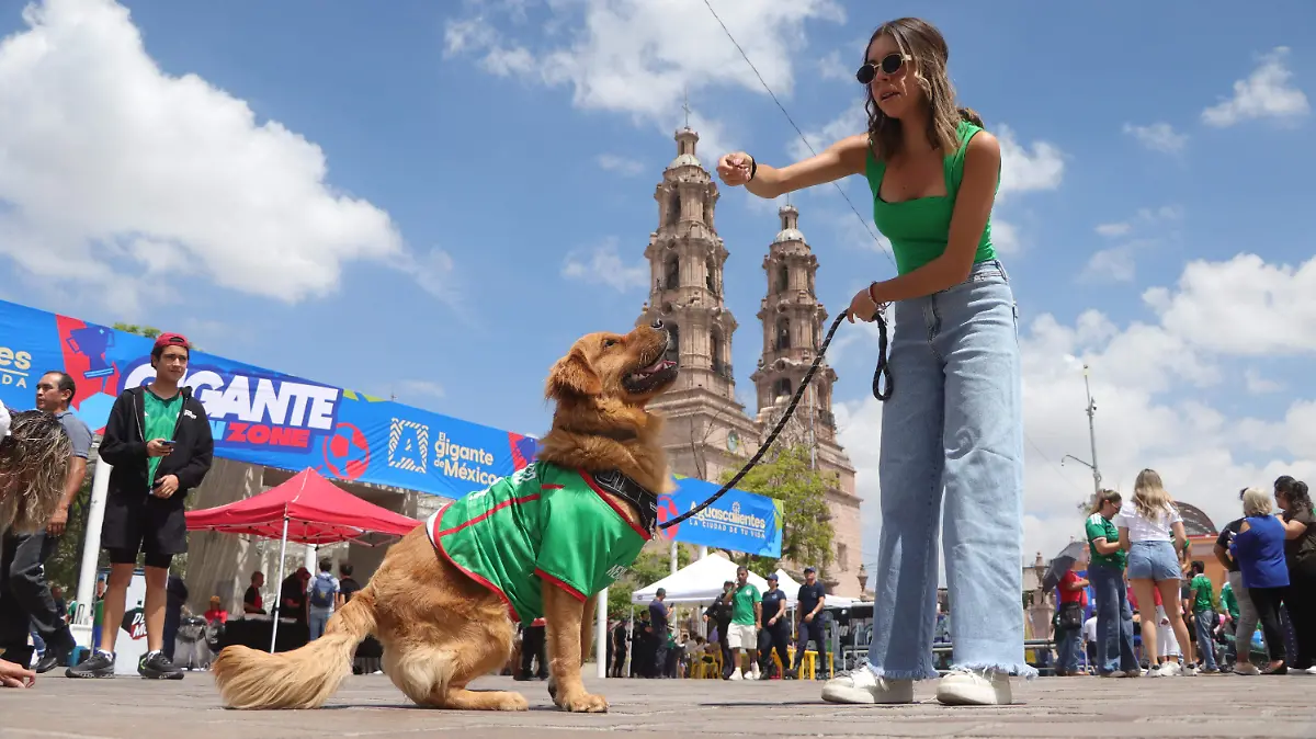 MASCOTAS (2)