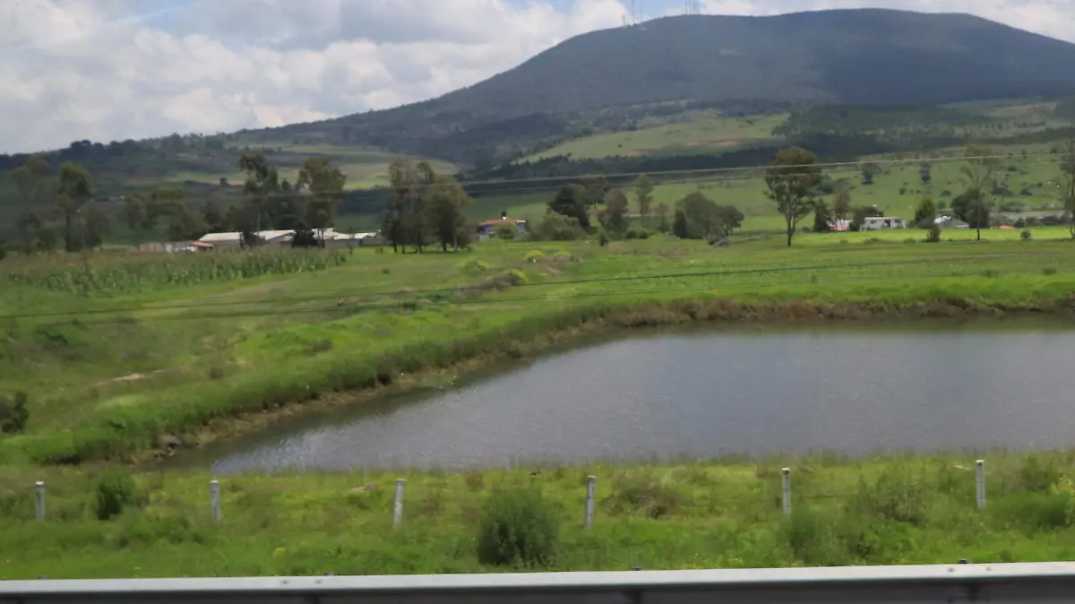 CAMPO 5