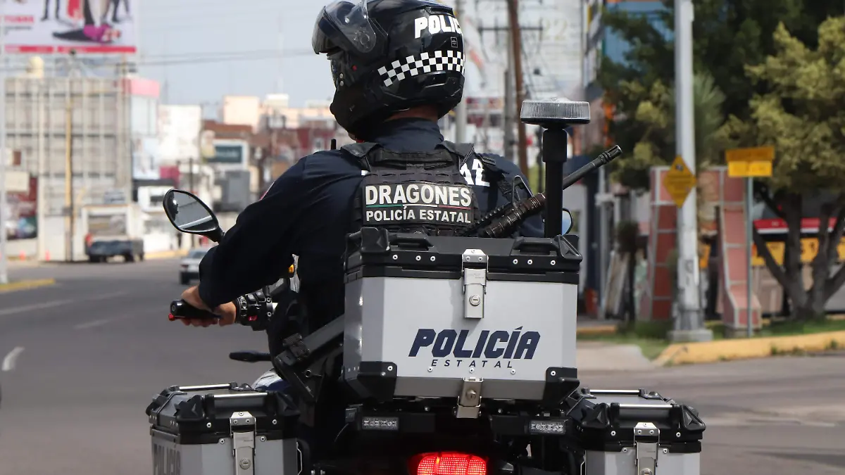 POLIS 1