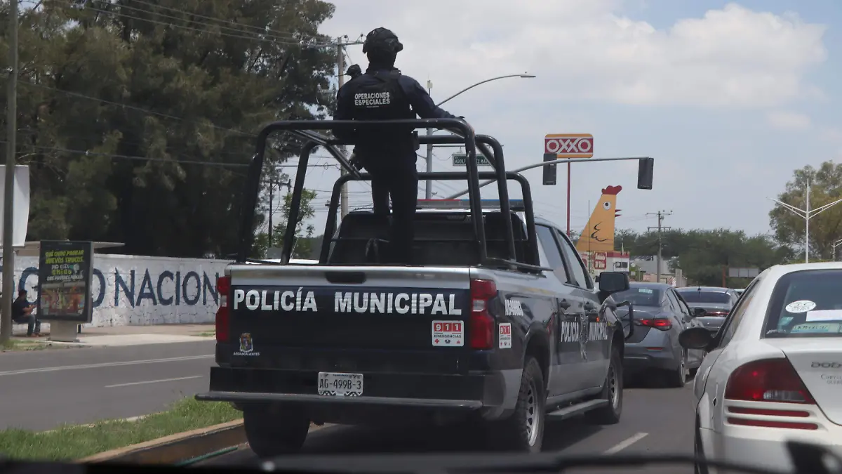 POLIS 3